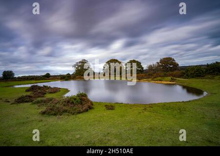 Mogshade Hill Pond im New Forest National Park, Hampshire, England, Großbritannien Stockfoto