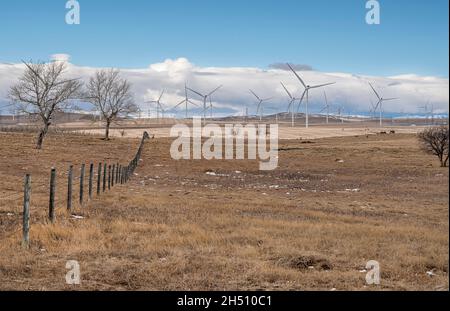 Windmühlen zur Stromerzeugung in den Ausläufern der Rocky Mountains in der Nähe von Fort Macleod, Alberta, Kanada Stockfoto