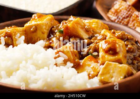 Authentische traditionelle chinesische Küche Mapo Tofu Gericht mit Schweinefleisch und gedünstetem Reis Nahaufnahme Stockfoto