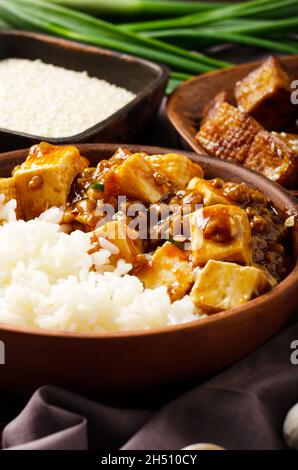 Authentische traditionelle chinesische Küche Mapo Tofu Gericht mit Schweinefleisch Schnittlauch und gedünstetem Reis Nahaufnahme Stockfoto