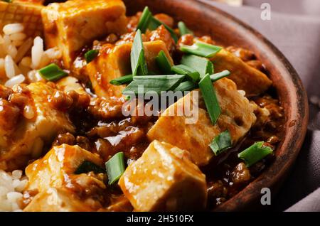 Authentische traditionelle chinesische Küche Mapo Tofu Gericht mit Schweinefleisch Schnittlauch und gedünstetem Reis Nahaufnahme Stockfoto