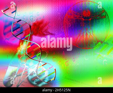 DNA-Strang, Reagenzglas und Schere. Vitruvian man und nahtloser Binärcode. Gentechnologie. 3D-Rendering. Stockfoto