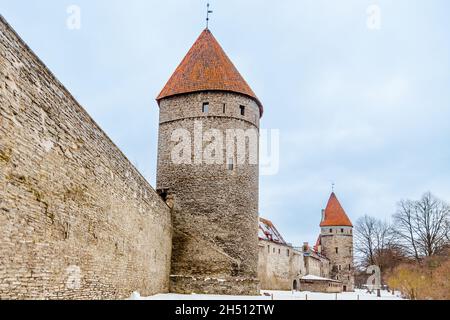 Alte Stadtmauer von Tallinn, mit mittelalterlichen Türmen, Estland Stockfoto