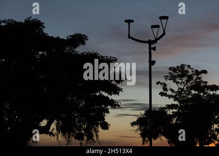 Salvador, Bahia, Brasilien - 11. Juni 2021: Baumsilhouette und ein Laternenpfosten auf dem Castro Alves Platz in Salvador, Bahia. Stockfoto