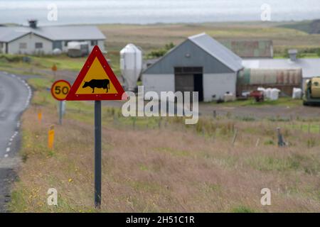 Grasige Landschaft mit Bauernhaus und Straßenschild in der Nähe des Black Sand Beach Vik Stockfoto