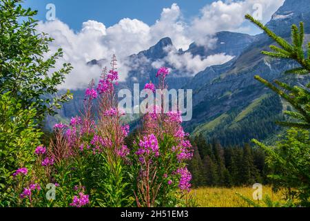 LES DIABERETS, SCHWEIZ - 27. Sep 2021: Eine wunderschöne Aussicht auf Les Diablerets im See retaud im Wallis in der Schweiz Stockfoto