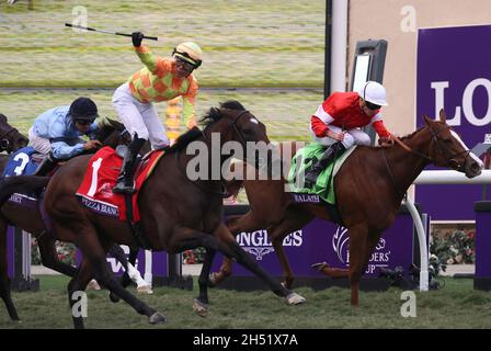 Del Mar, USA. November 2021. Jose Ortiz feiert auf der Pizza Bianca nach dem Gewinn des Juvenile-Stutfohlen-Turf-Rennens bei den Breeders' Cup Championships auf der Del Mar-Rennstrecke in Del Mar, Kalifornien. 5. November 2021. Foto von Mark Abraham/UPI Credit: UPI/Alamy Live News Stockfoto