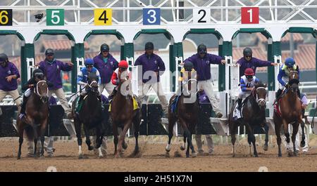 Del Mar, USA. November 2021. Der Start des Breeders' Cup-Fillies-Rennens bei den Breeders' Cup Championships auf der Rennstrecke Del Mar in Del Mar, Kalifornien. Echo Zulu, Joel Rosario, gewann das Rennen. 5. November 2021. Foto von Mark Abraham/UPI Credit: UPI/Alamy Live News Stockfoto