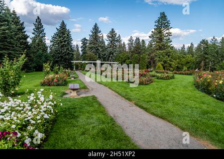 Rose Garden im Manito Park Stockfoto
