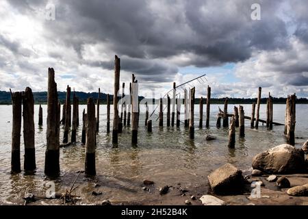 Alte verlassene bewaldete Bootsanlegestelle am Columbia River Stockfoto