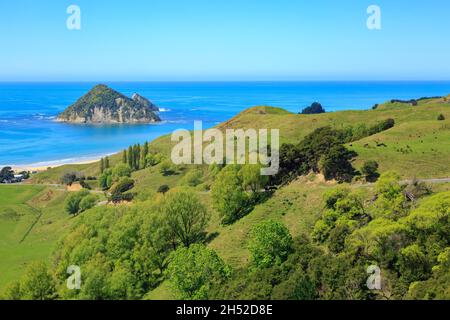 Küstenlandschaft an der Anaura Bay, einem Urlaubsziel in der Region Eastland in Neuseeland. Auf See liegt die Insel Motuoroi Stockfoto