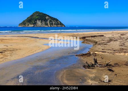 Anaura Bay in der Eastland Region von Neuseeland. Ein Bach fließt durch den goldenen Sand. Auf See liegt die Insel Motuoroi Stockfoto