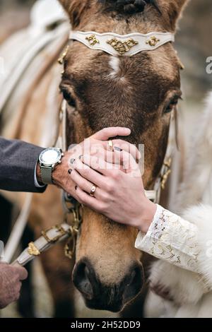 Vertikale Aufnahme eines Ehepaares, das die Hände auf das Pferd legt Stockfoto