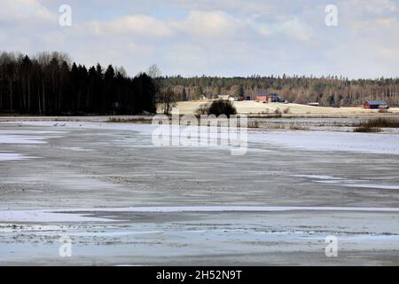 Gefrorenes Flutwasser über dem Kulturfeld im Frühjahr. Gefrorenes Wasser über Feldern kann das Erntegut beschädigen. Südfinnland, März 2020. Stockfoto