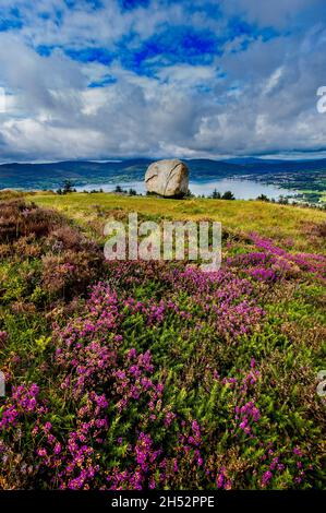 Cloughmore Stone, Rostrevor, County Down, Nordirland Stockfoto