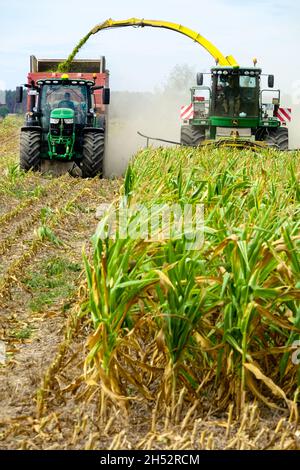 Landwirtschaft Feldarbeiten Mähdrescher Schneiden Maisfutter auf Traktor-Anhänger Deutschland Landwirtschaft Stockfoto