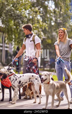 Gruppe von Hunden auf der Strasse an der Leine im Freien genießen. Stockfoto