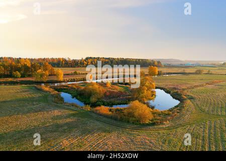 Luftaufnahme des Flusses in freier Wildbahn während der Herbstsaison. Bäume mit gelben Blättern bei Sonnenuntergang auf einem kleinen gewundenen Fluss. Stockfoto