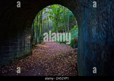 Stillgehobener Eisenbahntunnel auf dem High Peak Trail in der Nähe von Cromford, Derbyshire an einem Herbstmorgen. Stockfoto