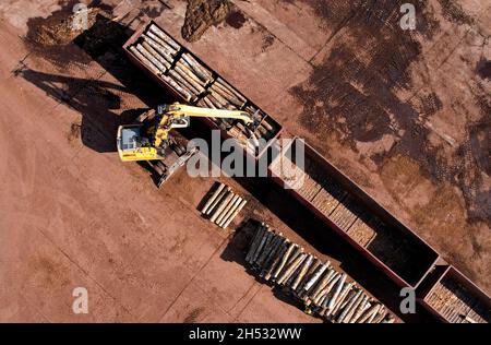 Bagger mit Blockgreifer entlädt Holz aus dem Güterwagen. Kran mit Klaue lädt Holzstämme auf Holzzug für Holzmühle. Illegaler Holzeinschlag und Holz e Stockfoto