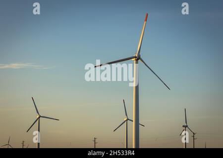 Windturbinen auf Feldern in der Nähe des Dorfes Balgarevo an der Schwarzmeerküste in der Gemeinde Kavarna, Provinz Dobritsch, im Nordosten Bulgariens Stockfoto