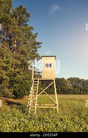 Holzhirsche und Wildschweinjäger stehen bei Sonnenuntergang auf einem Feld. Stockfoto