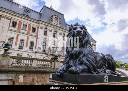 Löwenskulptur vor dem Schloss in der Stadt Pszczyna in Schlesien in Polen Stockfoto