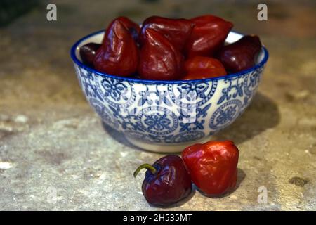 Schale mit violetten UFO-Chilischoten Stockfoto