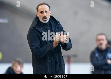 Stuttgart, Deutschland. November 2021. Fußball: Bundesliga, VfB Stuttgart - Arminia Bielefeld, Matchday 11, Mercedes-Benz Arena. Stuttgarter Coach Pellegrino Matarazzo Gesten. Kredit: Tom Weller/dpa - WICHTIGER HINWEIS: Gemäß den Bestimmungen der DFL Deutsche Fußball Liga und/oder des DFB Deutscher Fußball-Bund ist es untersagt, im Stadion und/oder vom Spiel aufgenommene Fotos in Form von Sequenzbildern und/oder videoähnlichen Fotoserien zu verwenden oder zu verwenden./dpa/Alamy Live News Stockfoto