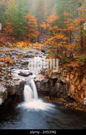 Lower McCloud Falls, auch bekannt als Fowler Falls, in Siskiyou County, Kalifornien, USA, an einem niesigen Herbstmorgen. Stockfoto