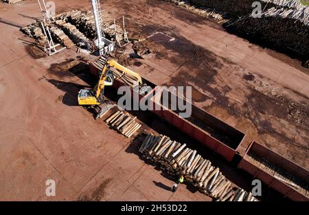 Bagger mit Blockgreifer entlädt Holz aus dem Güterwagen. Kran mit Klaue lädt Holzstämme auf Holzzug für Holzmühle. Illegaler Holzeinschlag und Holz e Stockfoto