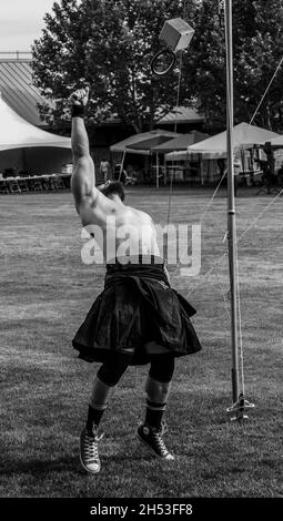 Weight Throw - 2016 Utah Scottish Festival and Highland Games Stockfoto