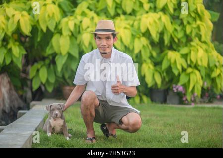 Mann und Hund Welpen glücklich amerikanischen Schläger Stockfoto