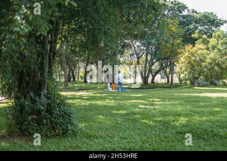 Familie auf einem Picknick im Park. Leben nach dem Lockdown. Menschen, die medizinische Masken von Coronavirus tragen. Soziale Distanz. Picknick auf der grünen Wiese im Park Stockfoto