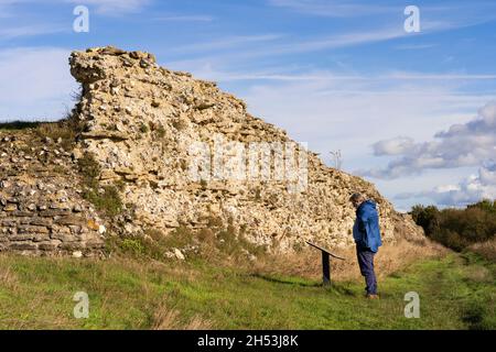 Ein Tourist, der am Südtor der zerstörten römischen Stadtmauer in Silchester (Calleva Atrebatum) eine Informationstafel liest. Hampshire, Großbritannien Stockfoto