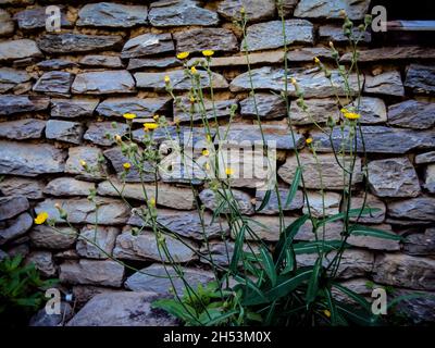 Struktur der Steinwand: Steinmauer für den typischen nepalesischen Hauszweck. Stockfoto