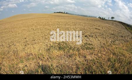 Crete senesi, Toskana, Italien Stockfoto