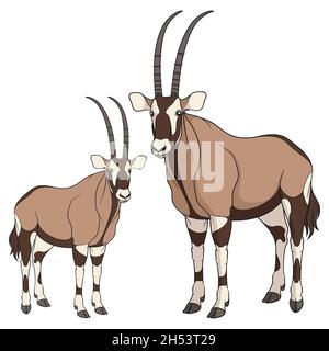 Satz farbiger Illustrationen mit Oryx-Antilope. Isolierte Vektorobjekte auf weißem Hintergrund. Stock Vektor