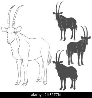 Set mit Schwarz-Weiß-Illustrationen mit Oryx-Antilope. Isolierte Vektorobjekte auf weißem Hintergrund. Stock Vektor