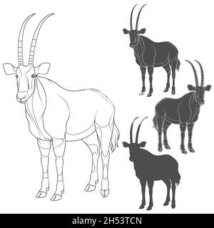 Set mit Schwarz-Weiß-Illustrationen mit Oryx-Antilope. Isolierte Vektorobjekte auf weißem Hintergrund. Stock Vektor