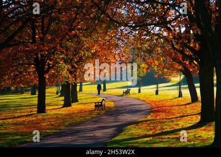 London, England, Großbritannien. November 2021. Am 05. November 2021 wandern die Menschen im Sunny Hill Park in London, Großbritannien, zwischen gelblichen, oranglichen und grünlichen Herbstblättern. Quelle: Rasid aSlim/ZUMA Wire/Alamy Live News Stockfoto