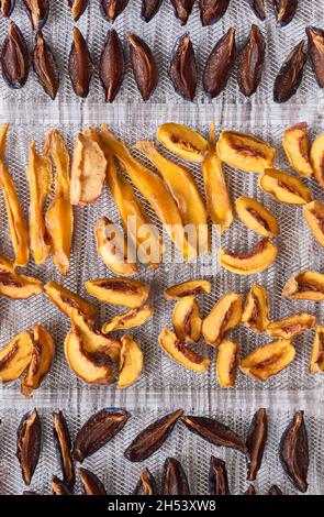 Getrocknete Früchte, Äpfel, Pflaumen, Mango beim Trocknen im Trocknungsgerät Stockfoto