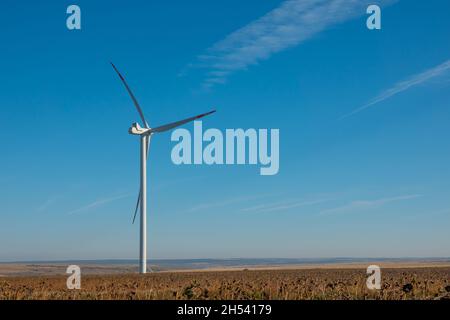 Windturbinen im offenen Gelände an windigen Tagen mit dunklen Wolken am Himmel. Alternative Stromerzeugung. Stockfoto