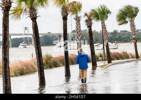 Charleston, Usa. November 2022. Ein Anwohner geht die überflutete Lockwood Road entlang, um die Schäden nach der Rekordzeit von King Tides in Kombination mit einem Offshore-Niederdruck-Trockensystem zu sehen, das die historische Innenstadt am 6. November 2021 in Charleston, South Carolina, überschwemmt. Der Klimawandel und der Anstieg des Meeresspiegels haben die Überschwemmungen entlang der Küste von Charleston in den letzten zehn Jahren um fast das Zehnfache erhöht. Quelle: Richard Ellis/Richard Ellis/Alamy Live News Stockfoto