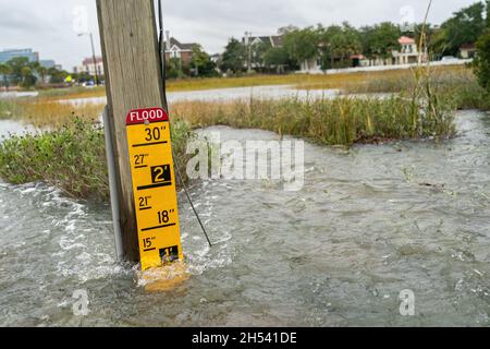 Charleston, Usa. November 2021. Ein Lebensmittelmesser auf der Lockwood Road zeigt ankommende Gezeiten einen Fuß über der Straßenoberfläche nach Rekord King Tides kombiniert mit einem Offshore-Niederdruck-Trockensystem, das am 6. November 2021 in Charleston, South Carolina, in die Innenstadt überflutete. Der Klimawandel und der Anstieg des Meeresspiegels haben die Überschwemmungen entlang der Küste von Charleston in den letzten zehn Jahren um fast das Zehnfache erhöht. Quelle: Richard Ellis/Richard Ellis/Alamy Live News Stockfoto