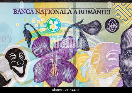 10-Euro-Geldscheine in einer schwarzen Brieftasche Stockfoto