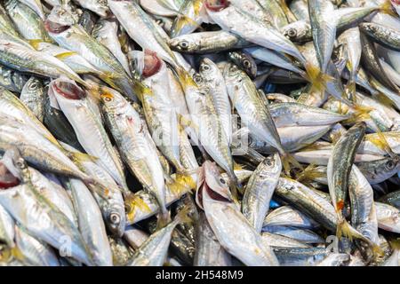 Frischer roher kleiner Fisch Hintergrund auf dem Markt Stockfoto