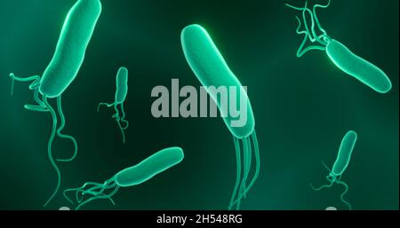 Helicobacter pylori, Illustration Stockfoto