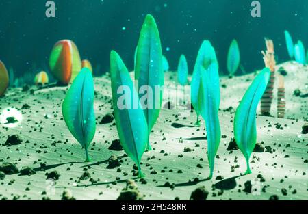 Ediacaranische Lebensformen am Meeresboden Stockfoto