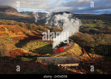 Palmerston fährt mit der Ffestiniog Railway 2.11.21 um die Dduallt Spirale Stockfoto